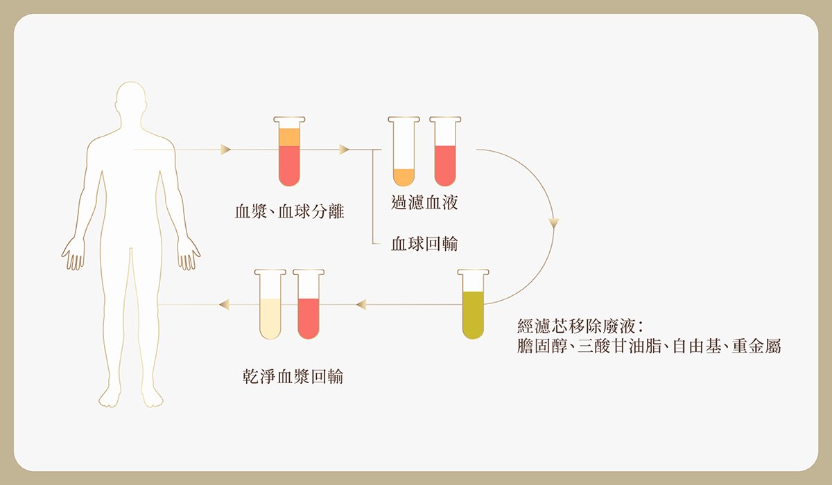 01_preventive_medicine https://sy-bac.com.tw/wp-content/uploads/2026/05/01_preventive_medicine_-blood_introduce_5.jpg