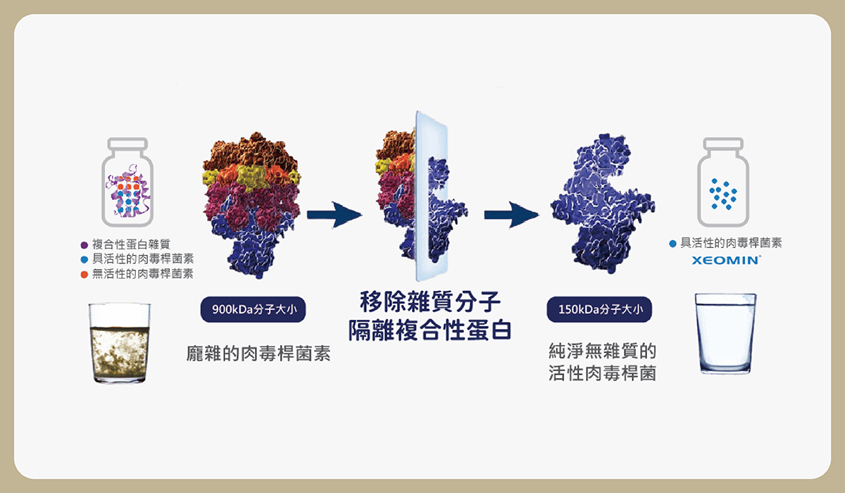 03_aesthetic medicine_B https://sy-bac.com.tw/wp-content/uploads/2026/05/03_aesthetic-medicine_B_botox_introduce_3-46.jpg